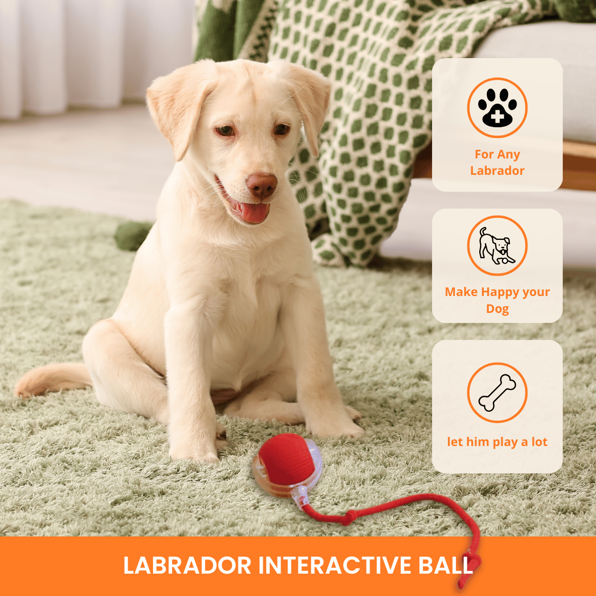 PawPlay Labrador Ball™